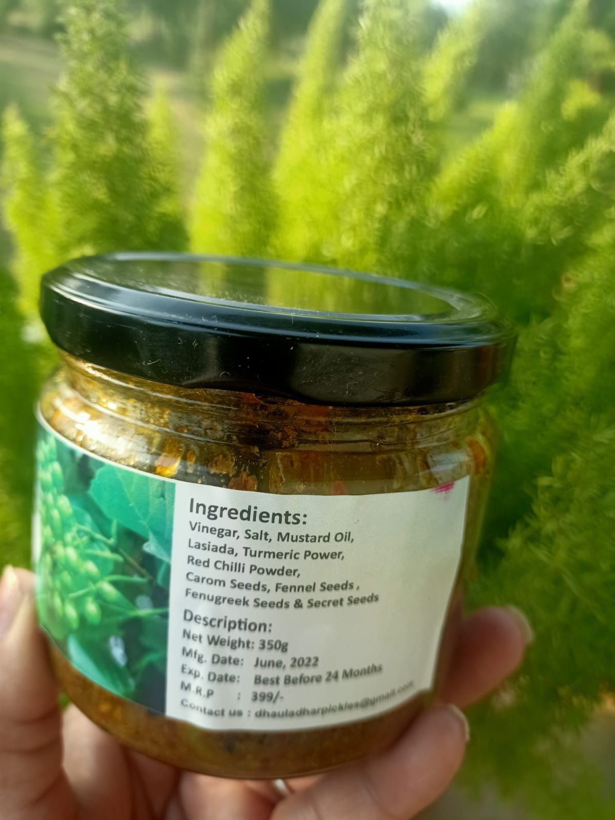 Lingri || FiddleHead II Wild Edible Fern Pickle